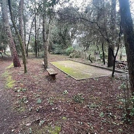 La Pinede De St Georges