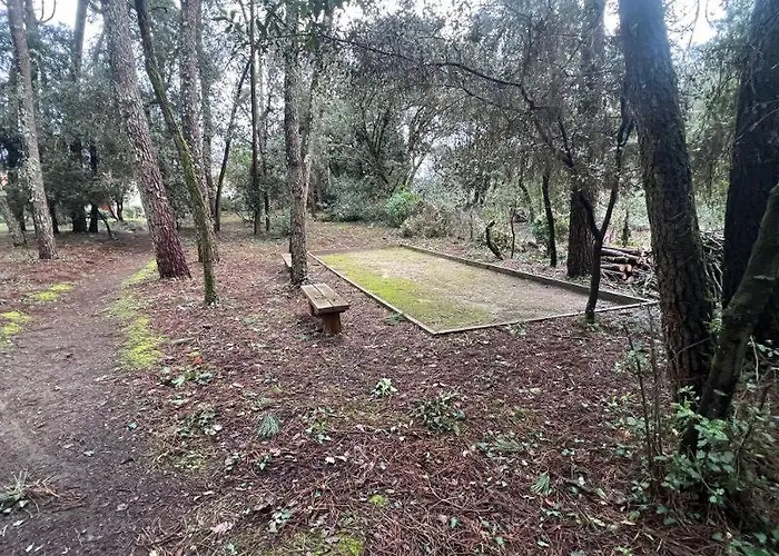 La Pinede De St Georges