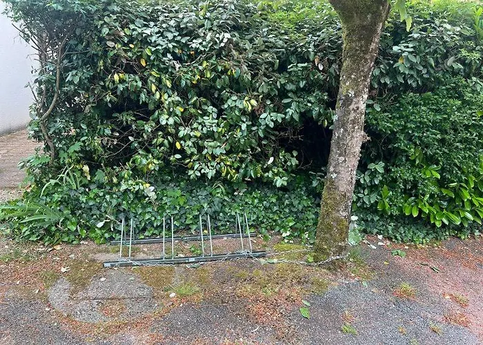 펜션 La Pinede De St Georges 생죠지드디돈느